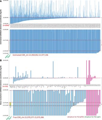 Detection of somatic copy number deletion of the CDKN2A gene by quantitative multiplex PCR for clinical practice